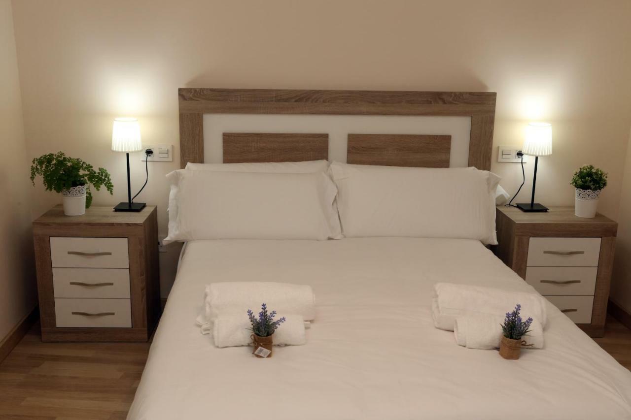 Apartamento Turisticos Puente Romano P3 1-A 萨拉曼卡 外观 照片